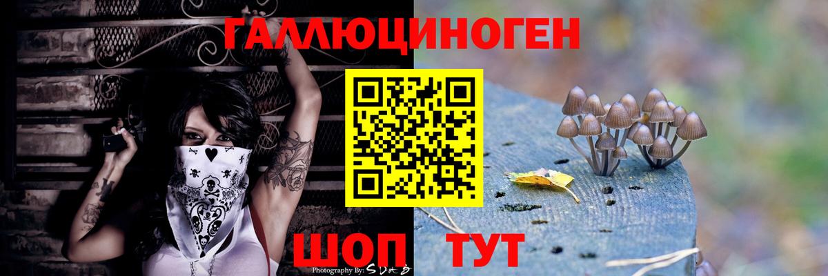 Галлюциногенные грибы Cubensis  где купить наркотик  Заводоуковск  Вход с VPN 