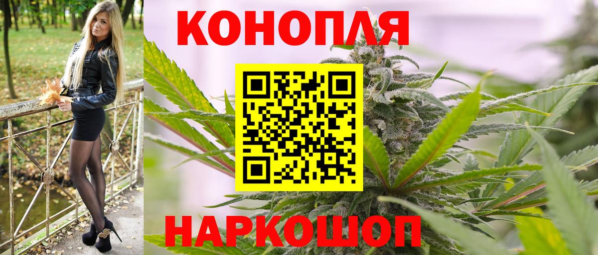 Канабис OG Kush  Бошки марихуана тримм  Шишки марихуана план  Вход с VPN  Заводоуковск 